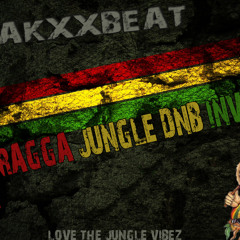 BREAKXXBEAT AKA JUNGLISTX - RAGGA JUNGLE - DNB INVASION VOL.2 FEB 2014