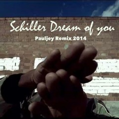 Schiller - Dream Of You ( Pauljey Bootleg Remix 2014 ) PREVIEW