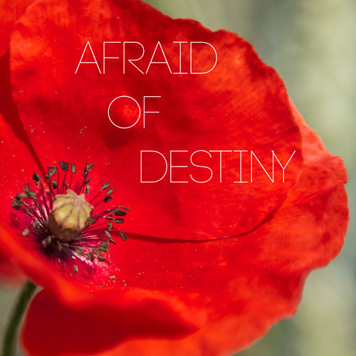 Afraid Of Destiny