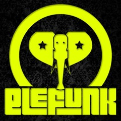 EleFuNK - Konsert (25 € Separate Tracks)