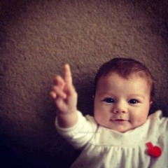 الحبيب عرفته - مصطفى الجعفري