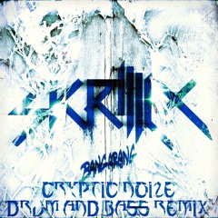 Skrillex - Bangarang (ft. Sirah) (Cryptic Noize Drum And Bass Remix)