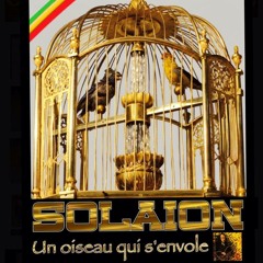 Solaion Un oiseau qui s'envole