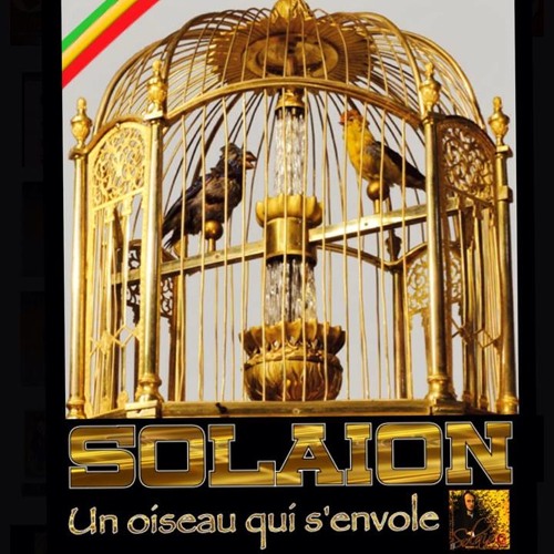 Solaion Un oiseau qui s'envole