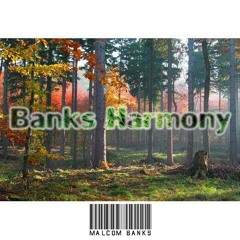 Banks Harmony (Mixed by SlowBeatz)