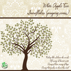 Pingpong, White Apple Tree - Snowflakes