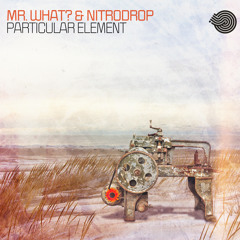 Mr.What & NitroDrop - 1 Particular Element (Sample)