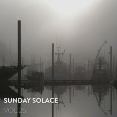 Sunday Solace Vol. 25
