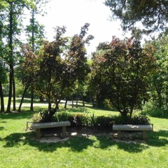 Grotesque Teem (For Hortus Obscurus)