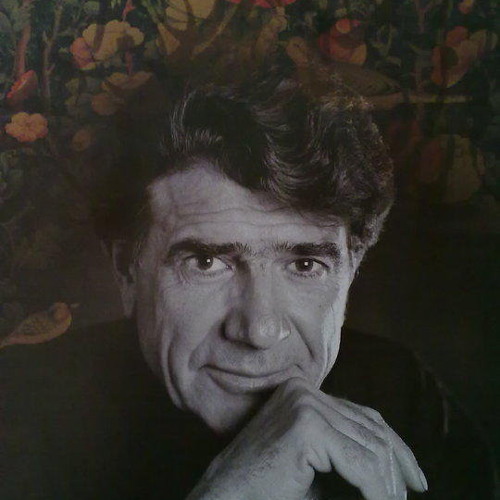 محمّد رضا شجریان - به مژگان سیه کردی هزاران رخنه در دینم