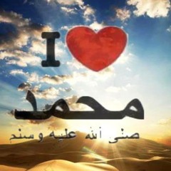 محمد حبيب الله 3> - مصطفى الجعفري