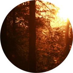 chervoboi - встрепенуться | vstrepenut'sya | shudder