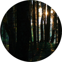 chervoboi - мне бесконечно жаль | mne beskonechno zhal'