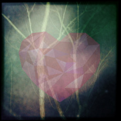 Requite & Sinerise - Tree Song [Free Download]