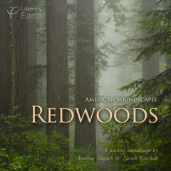 Redwoods, An American Soundscape - Album Sample