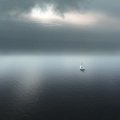 Lost At Sea - Dave Thomas Junior