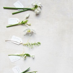 Pass the love forward (I will design studio - Valentine's Project)