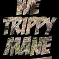 Trippy Ft: Country Thuggin & Lil Bang