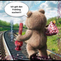 Geh mal eben den Frühling suchen...