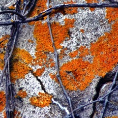 True Detective S.1 Ep.3 Ending Credits of "the Locked Room"