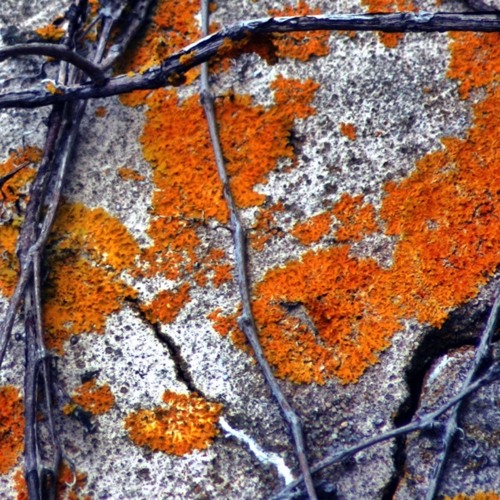 True Detective S.1 Ep.3 Ending Credits of "the Locked Room"