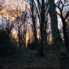 20140209 - highgate