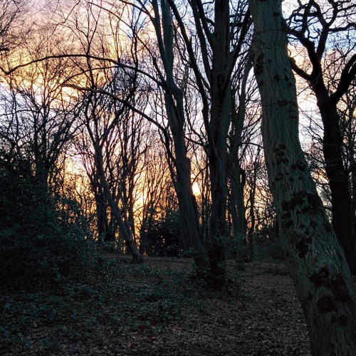 20140209 - highgate