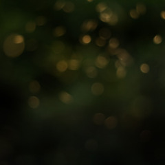 Of Time & Light By Pia Jane Bijkerk 2014