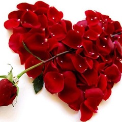 Fritz Fever - SMS Um Mitternacht