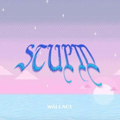 WALLACE - Stupid *click buy for free dl*