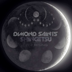 Dimond Saints - Take Me To The Moon