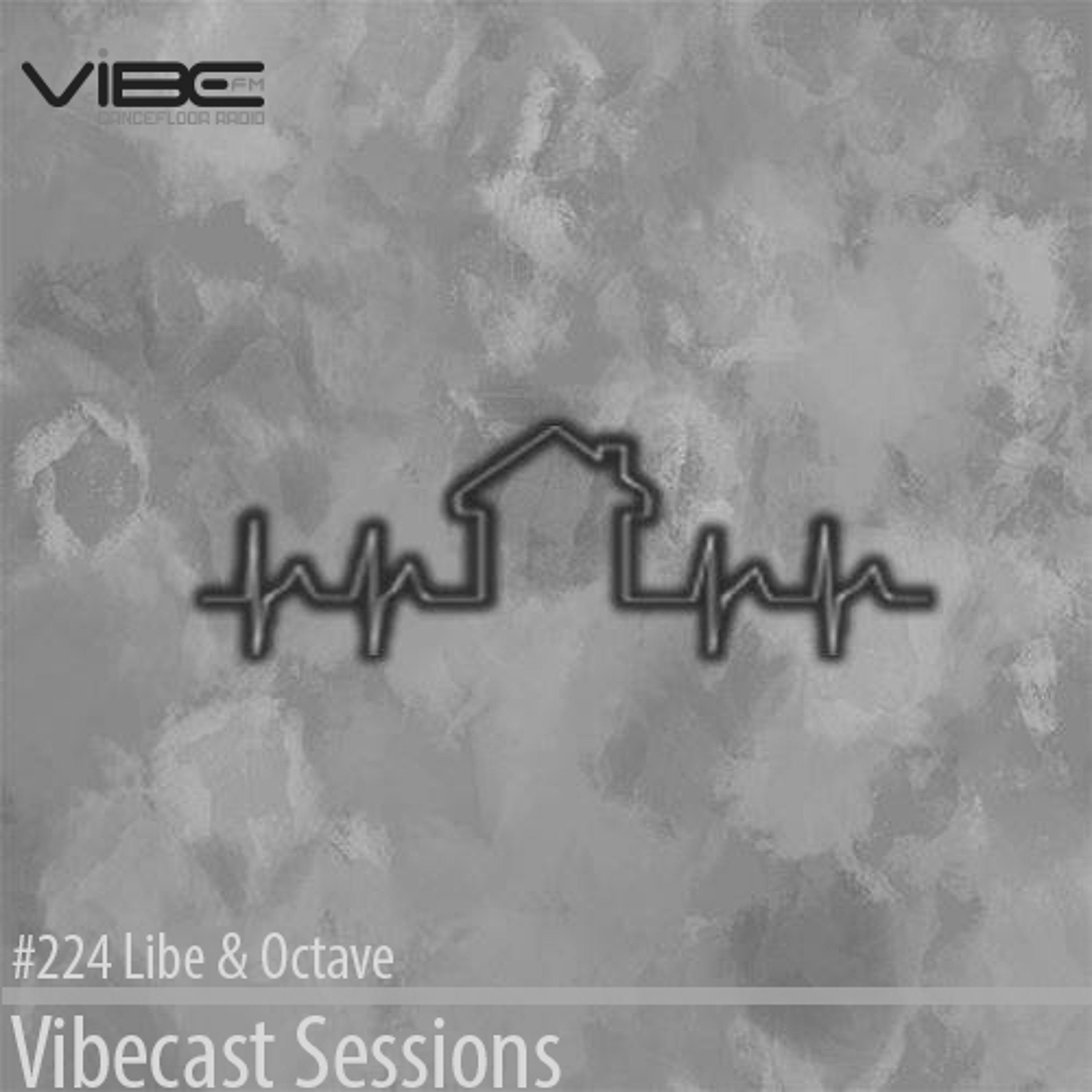 Vibecast Sessions