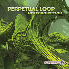 Perpetual Loop - Sunspots