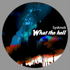 Sysknob - What The Hell (The Plumbers Remix) Musex Industries