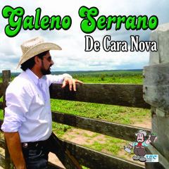 Do Sul Para O Brasil