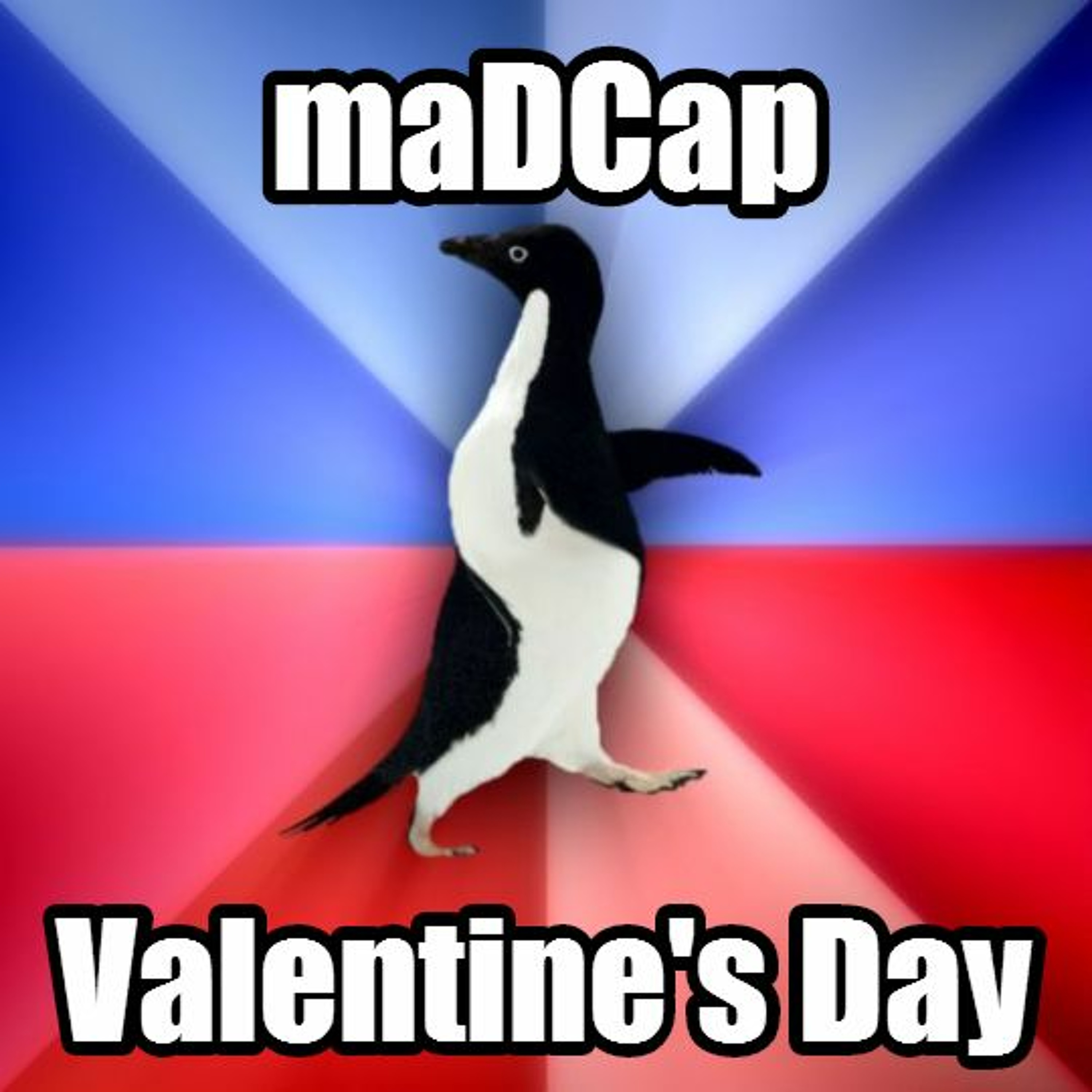 maDCap: David Ross & Dan Bloom