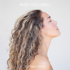 Wish You Well (Archwood Music Remix)