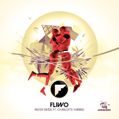 Fliwo - Never Divide (feat. Charlotte Haining)