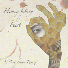 Feist - Honey Honey (N Boardman Remix)