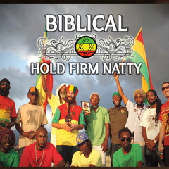 "Lift You Up High" Biblical Roots Reggae_Track from "Hold Firm Natty"