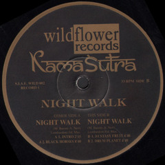 Night Walk (Black Horses)