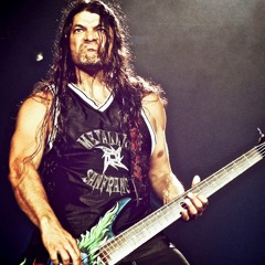 Metallica - Robert Trujillo - January 2014