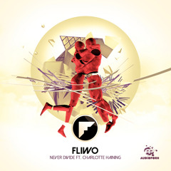 Never Divide (feat. Charlotte Haining)
