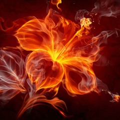 Tommy Stokes - Beautiful Flower -Lyrics by Elaine Dionne