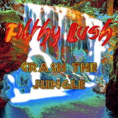 Crash The Jungle (Original Mix)