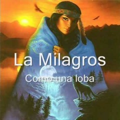 97 Como Una Loba (Dj B - Crash) - Milagros Hernandez