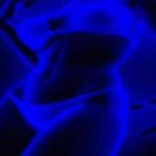 Secession - Touch (Part 4)