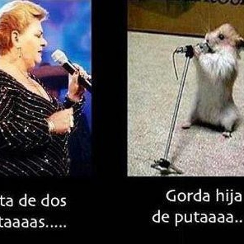 Stream Rata De 2 Patas Paquita La Del Barrio Edit Dj Robomix by Dj