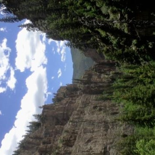 The 'I Was john Malkovich B4 it Was Cool' Mixtape