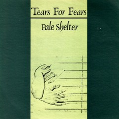 Tears for Fears - Pale Shelter (Signal Jam's House is a Shelter Mix)